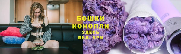 ПСИЛОЦИБИНОВЫЕ ГРИБЫ Аркадак