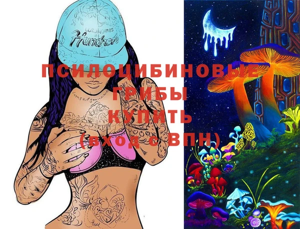 дживик Арсеньев