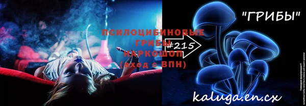 ПСИЛОЦИБИНОВЫЕ ГРИБЫ Аркадак