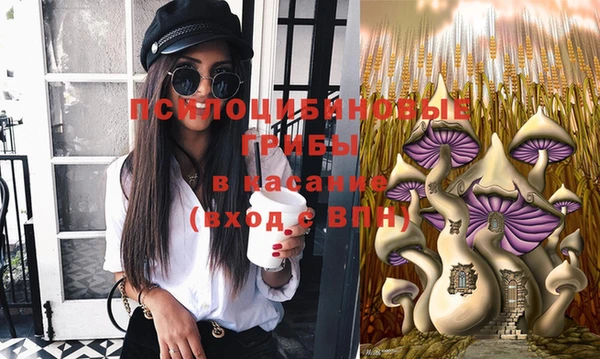 дживик Арсеньев
