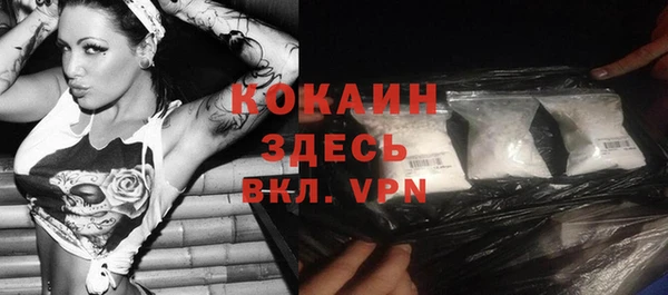 дживик Арсеньев