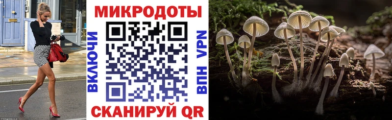 купить наркоту Пошехонье Псилоцибиновые грибы мицелий
